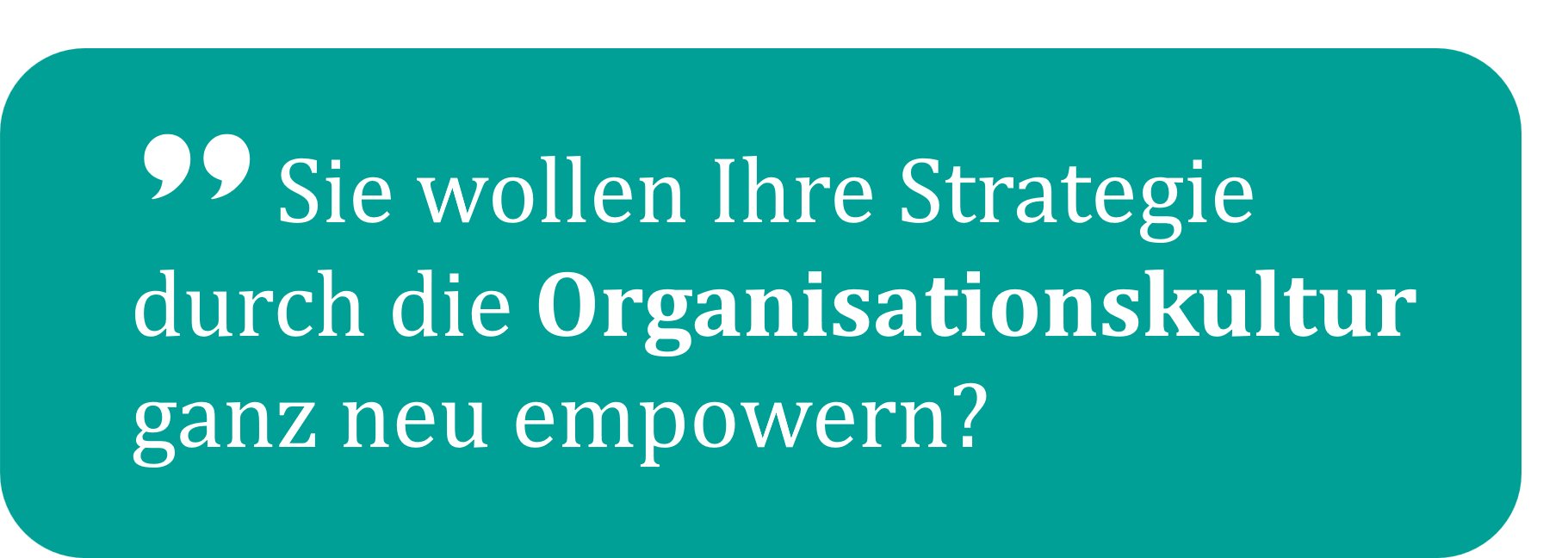 Organisationskultur und Strategie